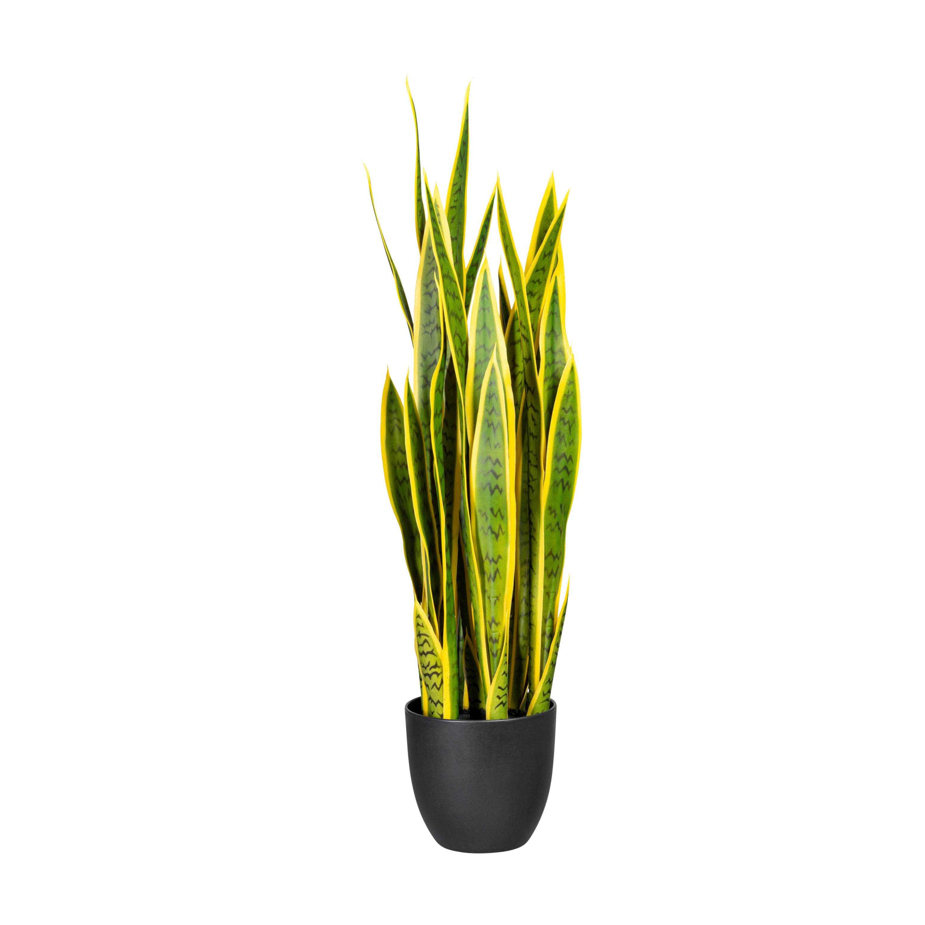 Kunstpflanze Sukkulenten Gelb/Grün - Gelb/Schwarz, Design, Kunststoff (90cm)