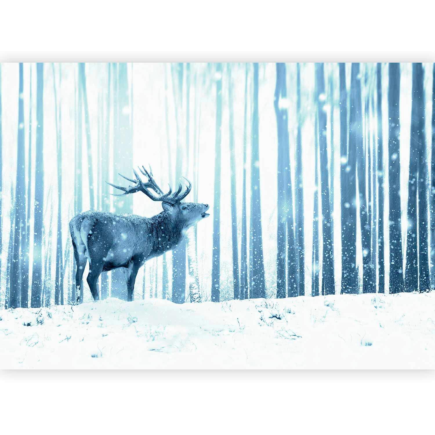 Fotótapéta Hde-4xlft1870 - világoskék/fehér, Lifestyle, textil (400/280cm) - artgeist