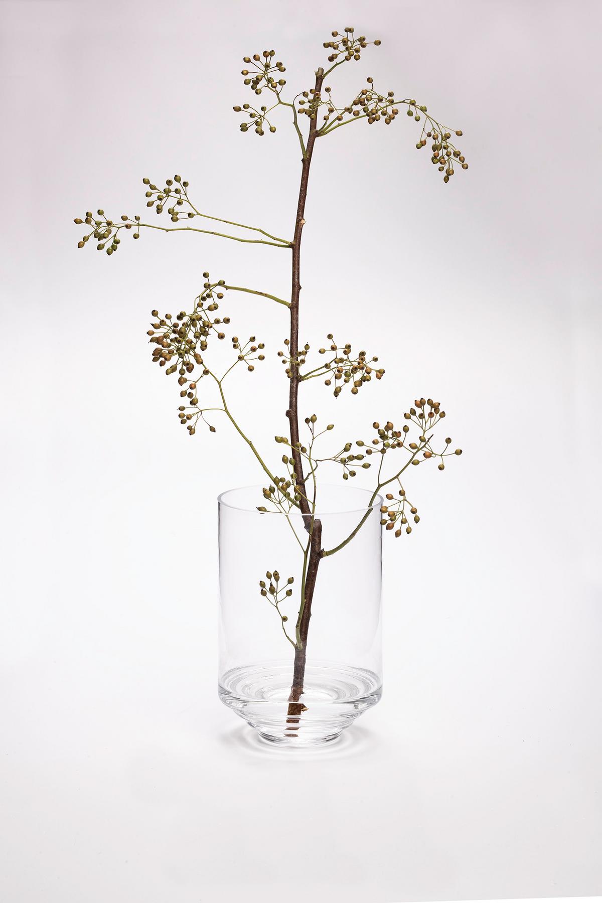 Vase Klippa Klar - Klar, Trend, Glas (17/25cm) - Markslöjd