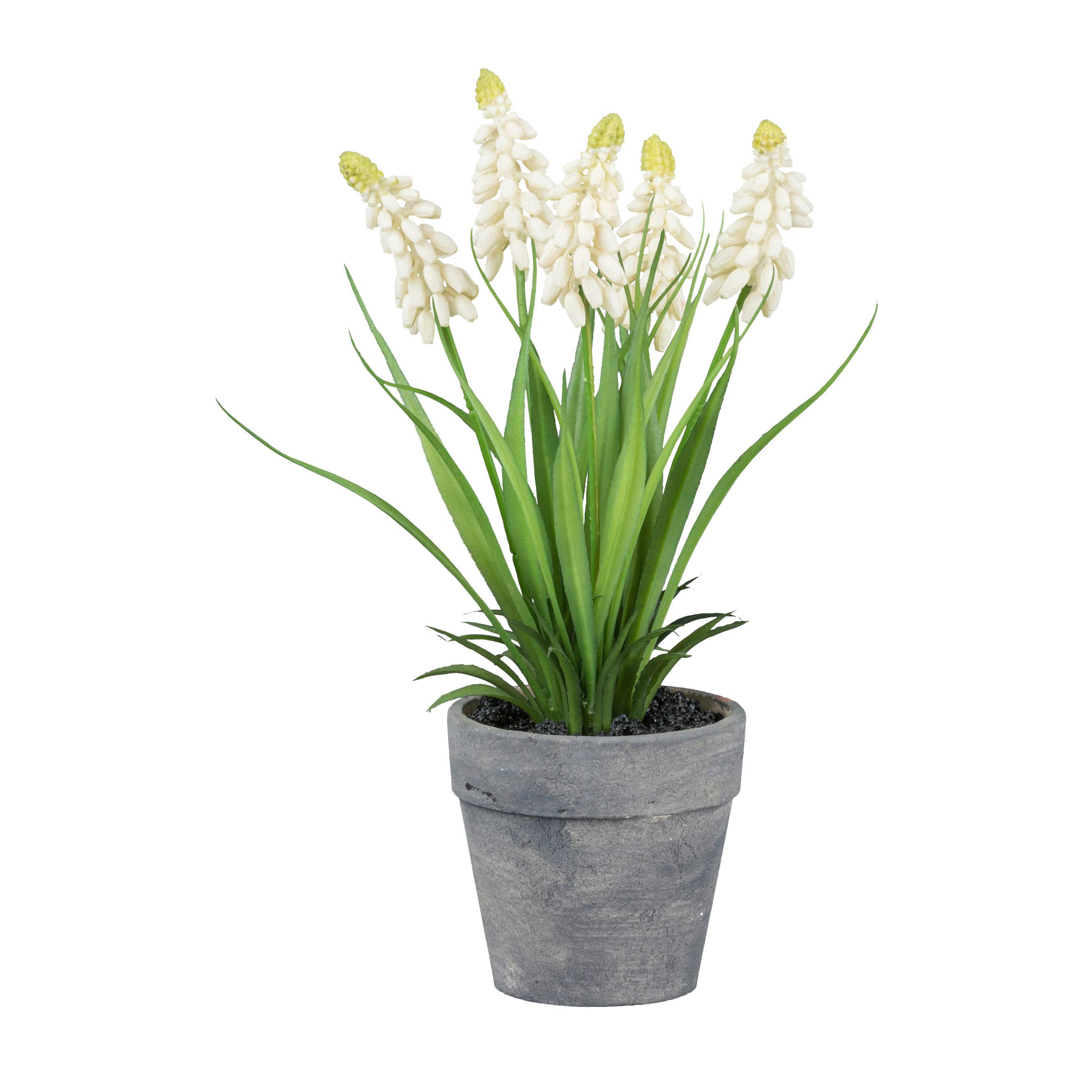 Umetna Rastlina Muscari I - siva/zelena, Basics, umetna masa (25cm) - Modern Living