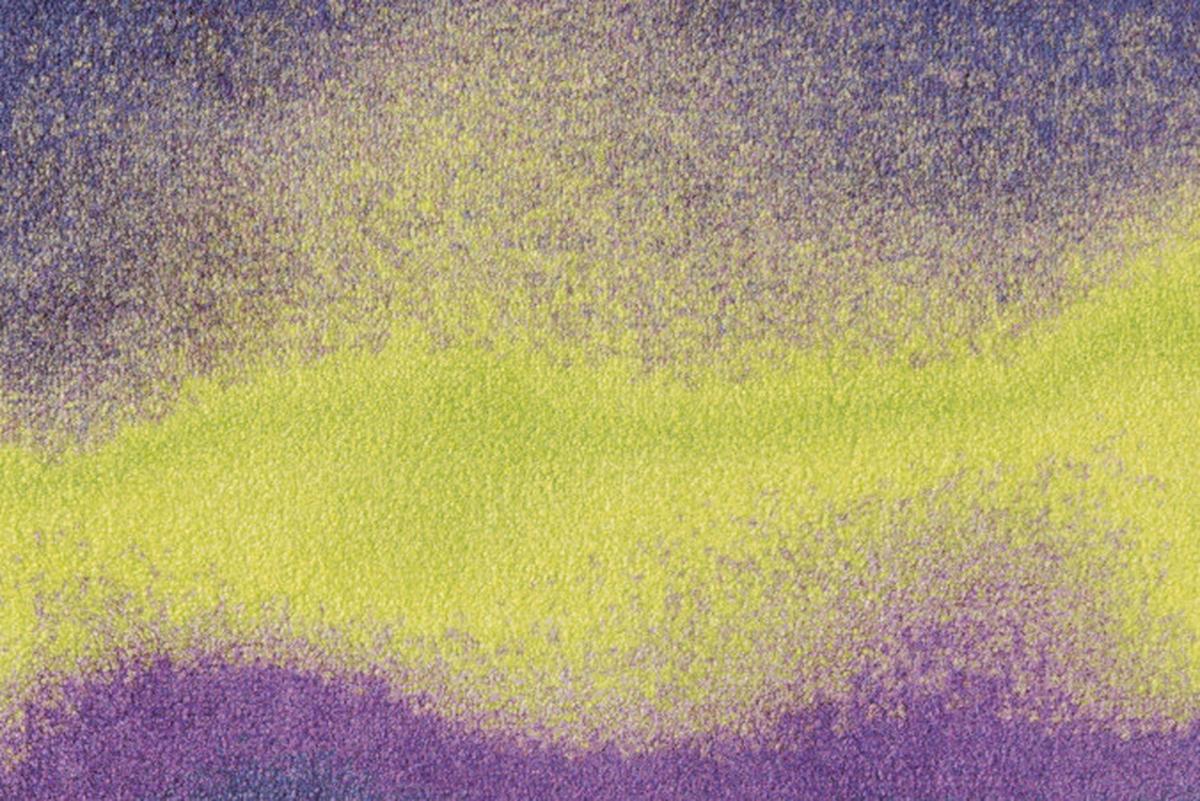 Fussmatte Living Mat 28 Violett/g 42x64 - Gelb/Violett, Basics (42/64cm) - Kayoom