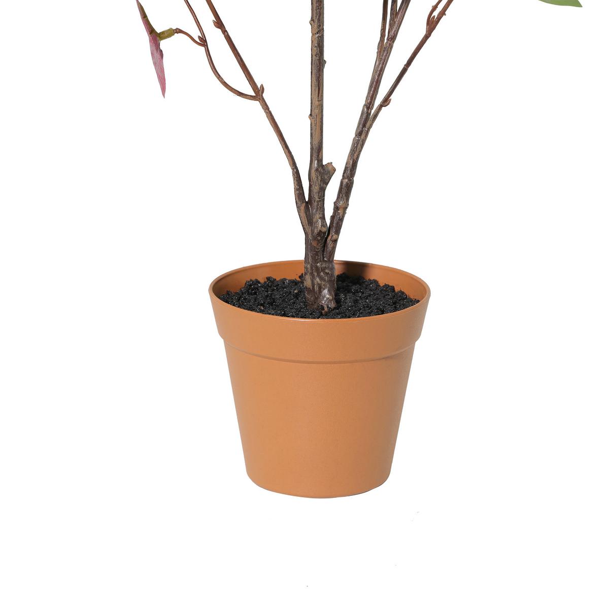 Umetna Rastlina Eukalyptus -Paz- - roza/barve korale, kovina/umetna masa (48/86cm) - Mömax