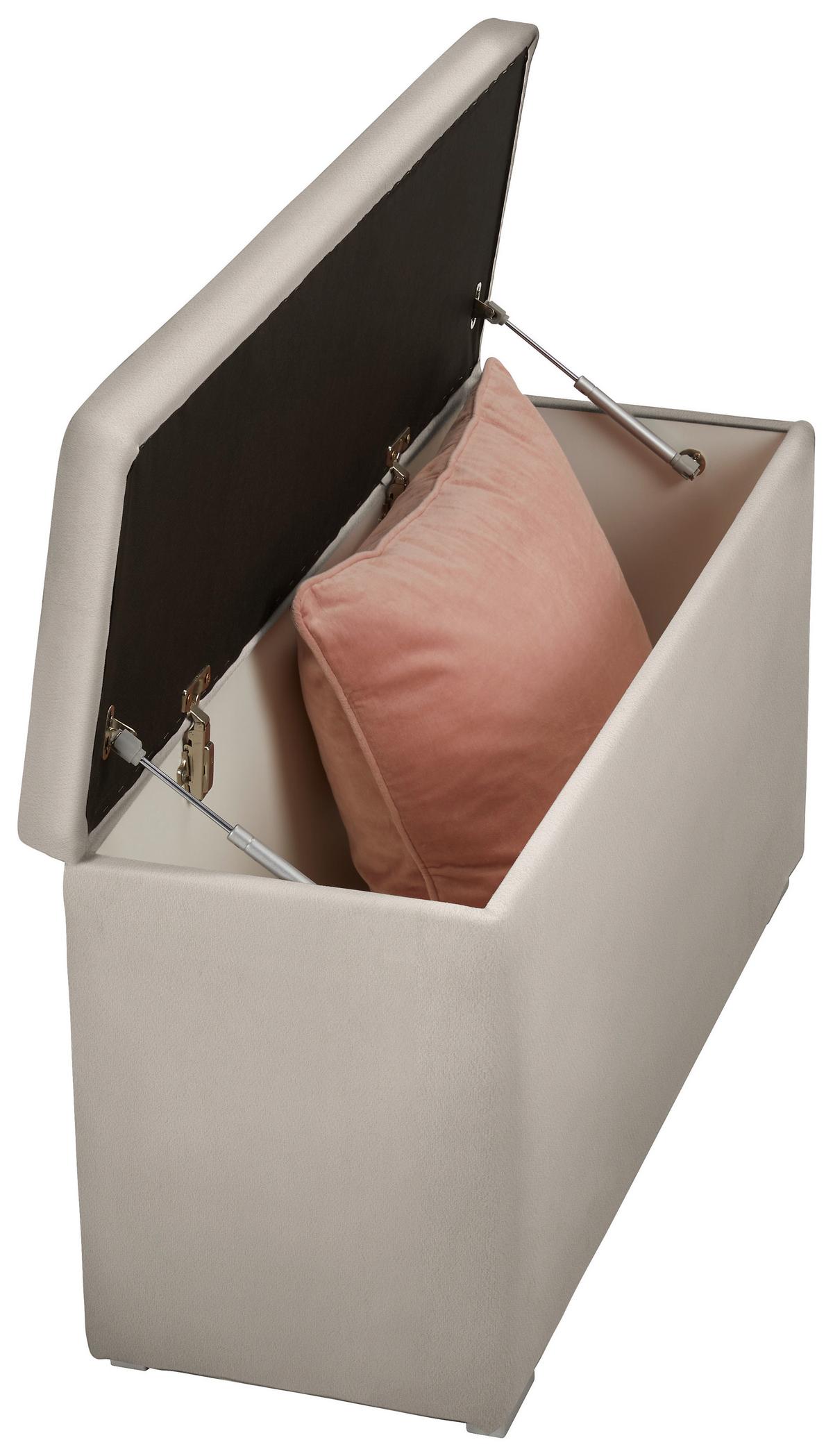 Truhenbank in Beige - Beige/Schwarz, KONVENTIONELL, Kunststoff/Textil (111/54/39cm) - Premium Living