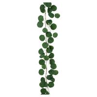 Umetna Rastlina Eukalyptusgirlande Ii - zelena/rjava, Konvencionalno, umetna masa (190cm) - Mömax
