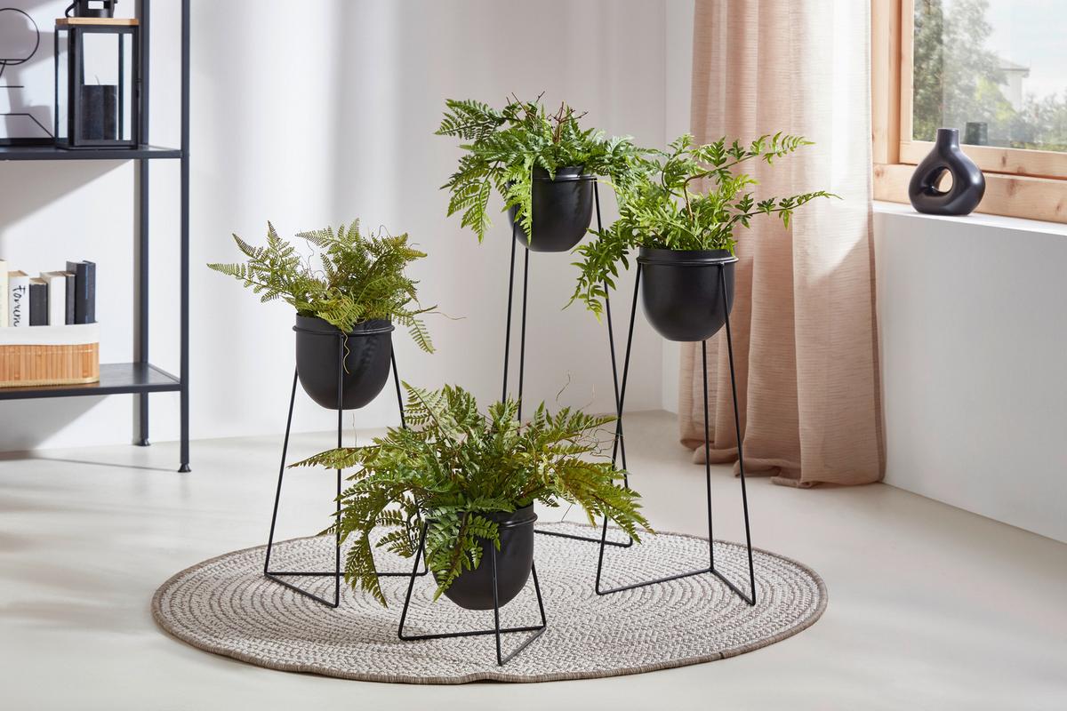 Okrasna Rastlina Farn I - zelena, Basics, umetna masa (40cm) - Modern Living