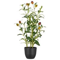 Kunstpflanze Olivenstrauch Grün ca. 48cm - Schwarz/Olivgrün, Basics, Kunststoff/Metall (48cm) - Mömax