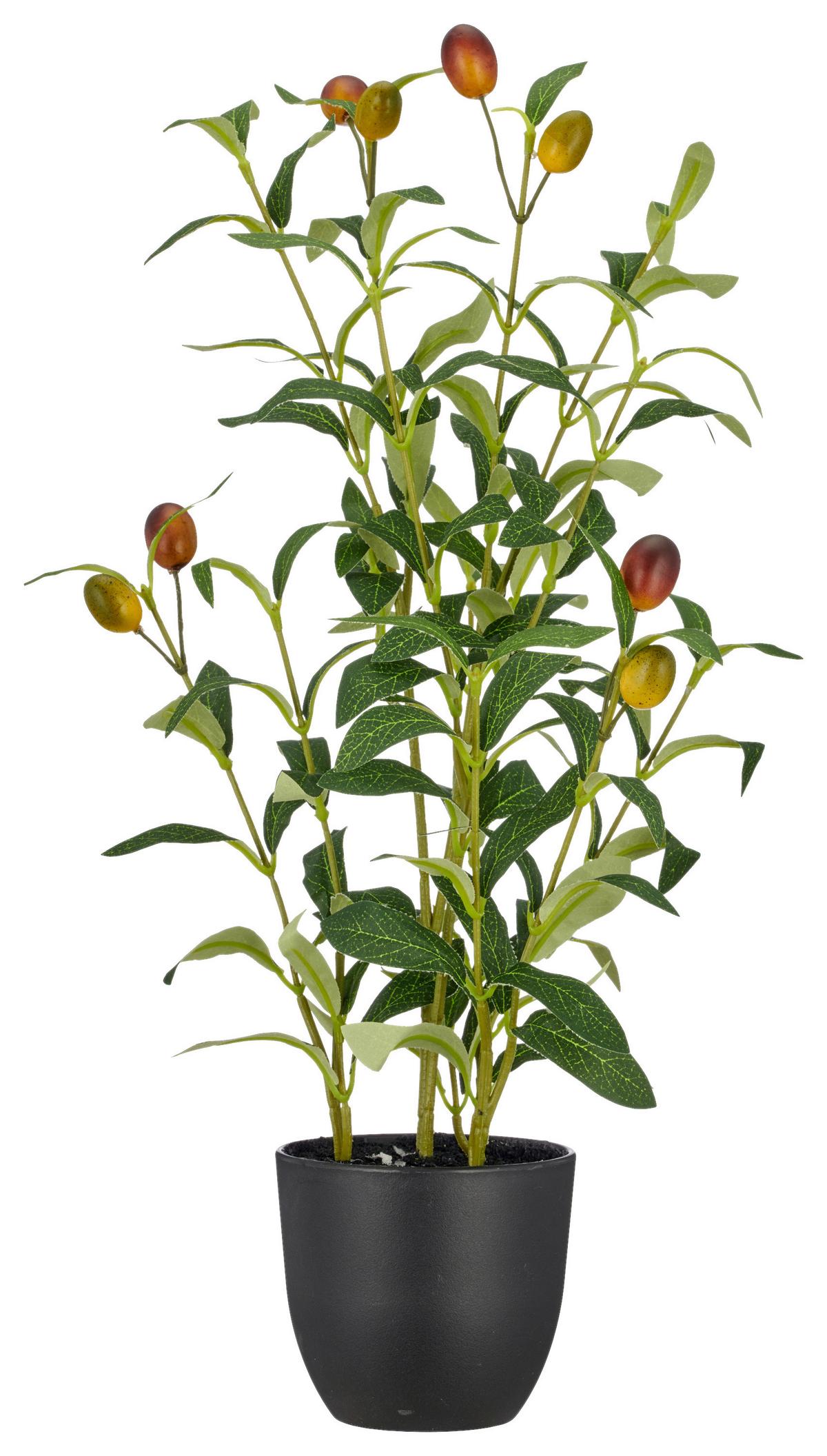 Kunstpflanze Olivenstrauch Grün ca. 48cm - Schwarz/Olivgrün, Basics, Kunststoff/Metall (48cm) - Mömax