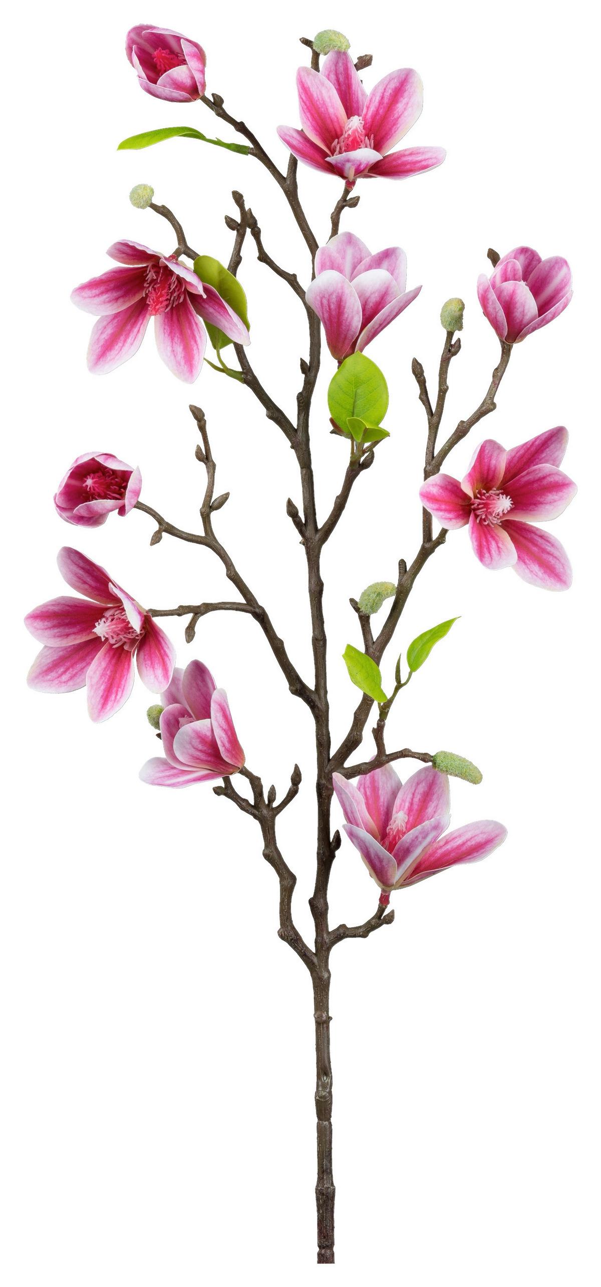 Magnolie Pink ca. 83cm - Pink/Braun, Basics, Kunststoff/Textil (83cm) - Mömax