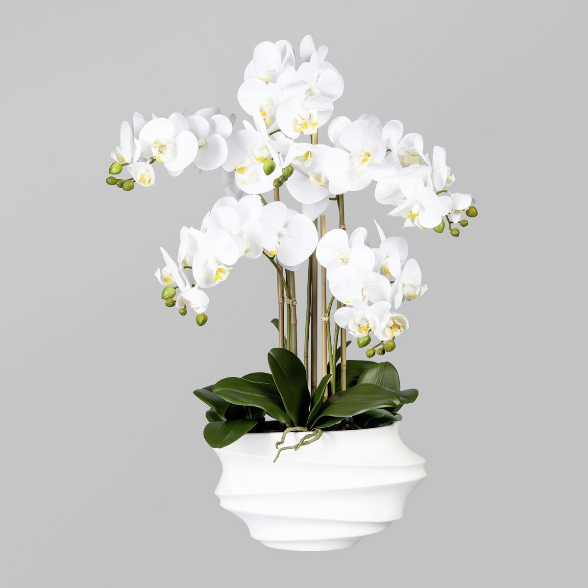 Kunstblume Orchidee, ca. 75cm - Weiß/Braun, Trend, Kunststoff (75cm) - P & B
