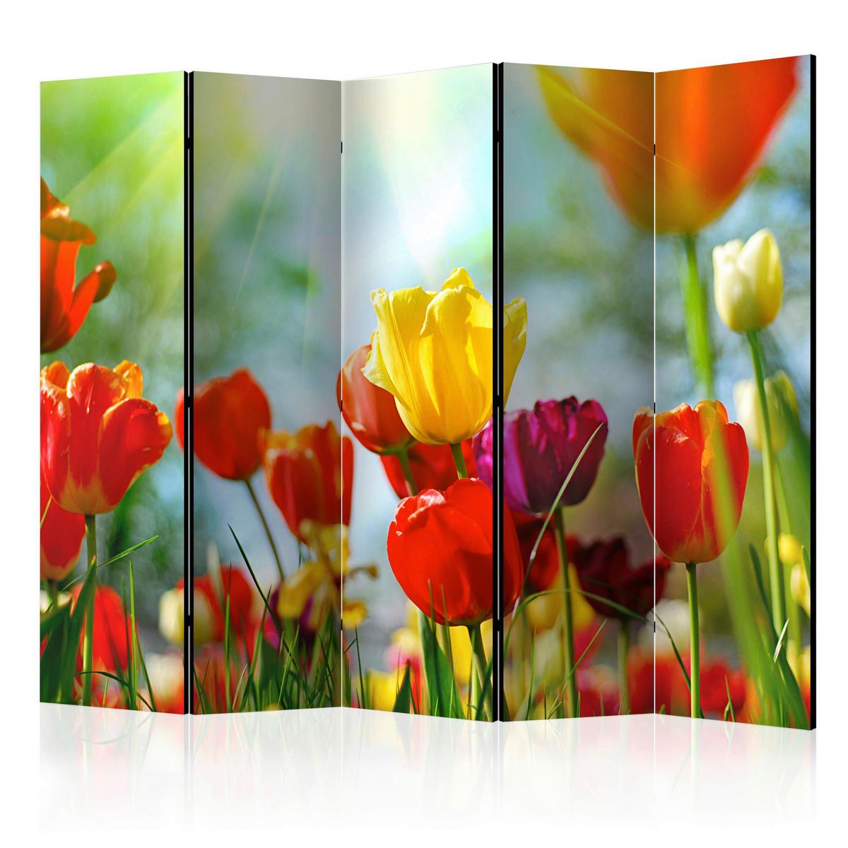 Paravan Spring Tulips I, 5-Delni, Dvostranski - večbarvno, Basics, tekstil/les (225/172/3cm) - artgeist