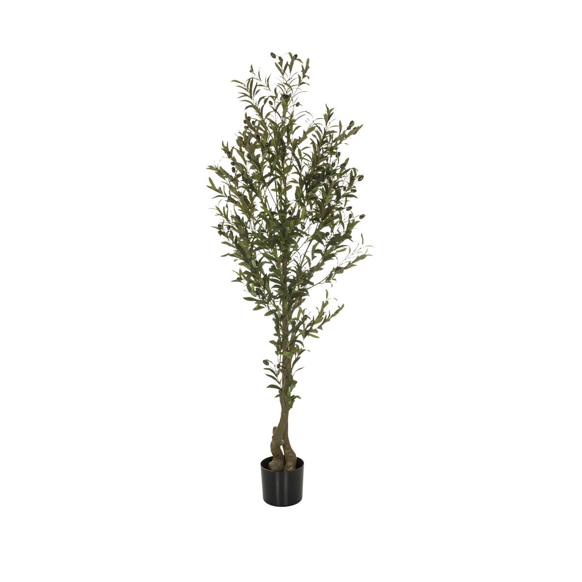 Umetna Rastlina Olive I - črna/zelena, Basics, umetna masa (50/172/50cm) - MID.YOU