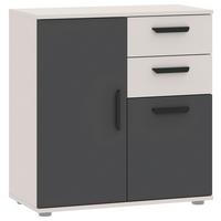 Komoda Basic - kašmir/srebrne boje, Konvencionalno, drvni materijal/plastika (71,4/75/33,2cm)