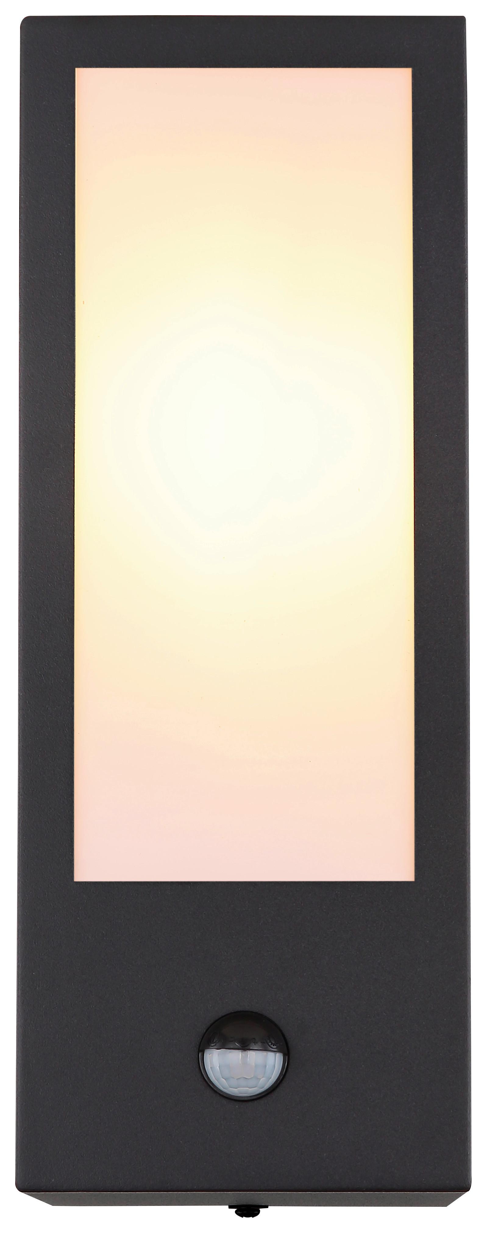 AUSSENLEUCHTE GUNDULA - Opal/Schwarz, Basics, Kunststoff/Metall (12/32cm) - Globo