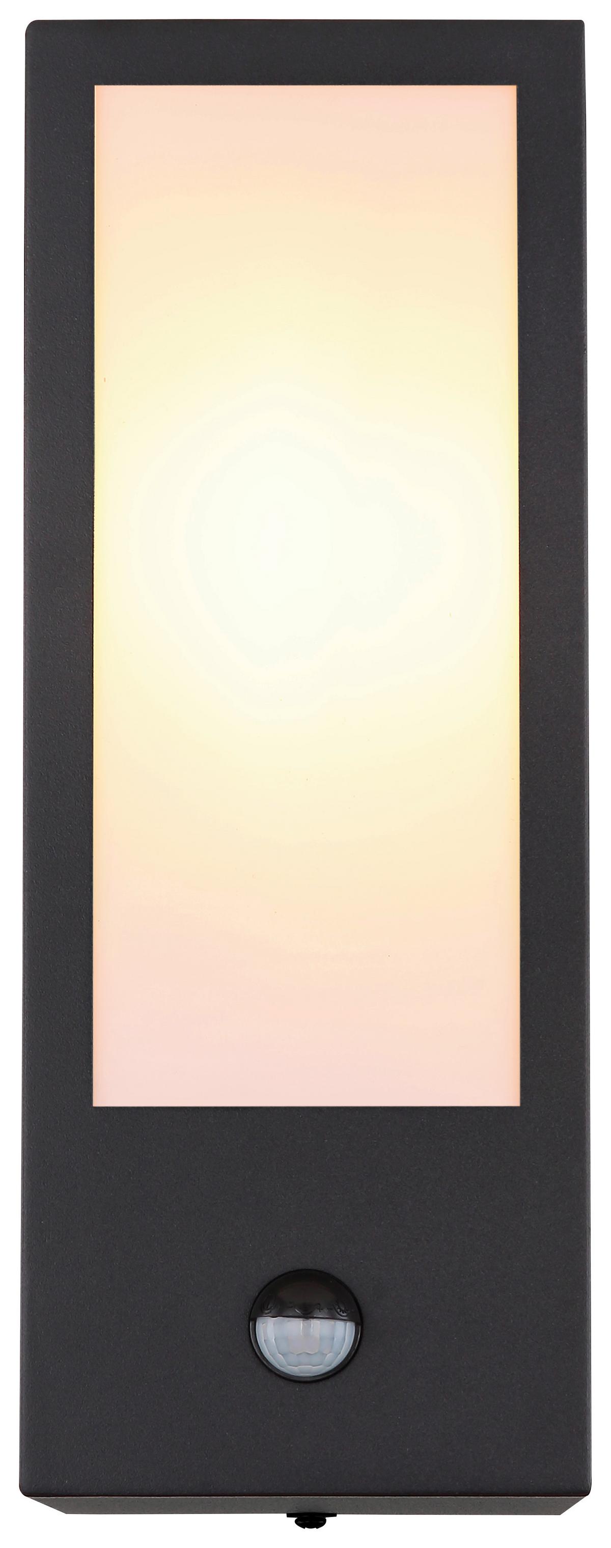 AUSSENLEUCHTE GUNDULA - Opal/Schwarz, Basics, Kunststoff/Metall (12/32cm) - Globo