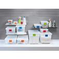 Škatla S Pokrovom 23920101 - prosojna, Konvencionalno, umetna masa (36.4/25.6/9.8cm) - Mömax modern living Škatla S Pokrovom 23920101 - prosojna, Konvencionalno, umetna masa (36.4/25.6/9.8cm) - Mömax modern living