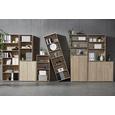 Kommode Sonoma Eiche - Alufarben/Grau, MODERN, Holzwerkstoff/Kunststoff (72/86/34cm) Kommode Sonoma Eiche - Alufarben/Grau, MODERN, Holzwerkstoff/Kunststoff (72/86/34cm)