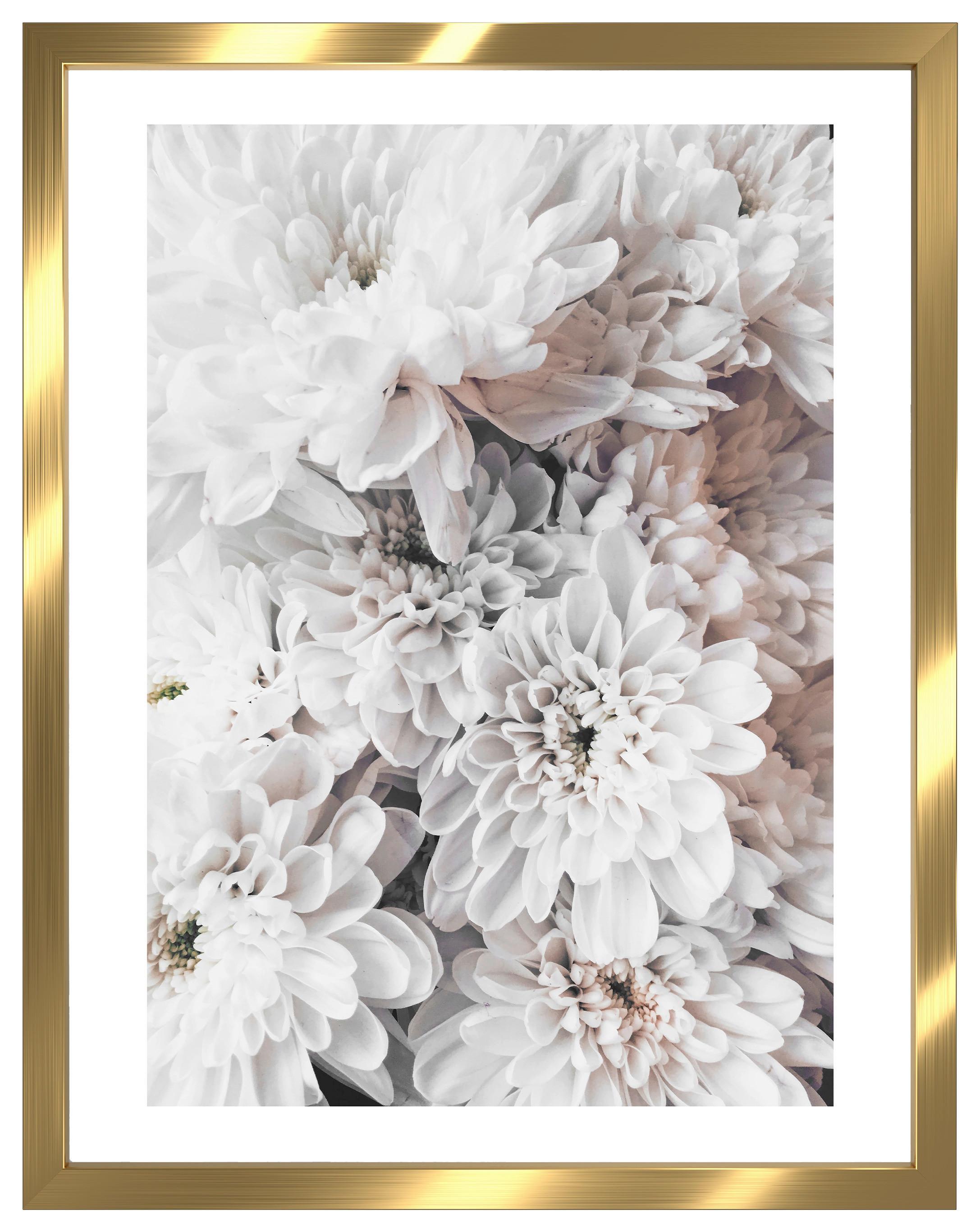 Bild Image in Rosa/Gold ca. 30x40cm - Goldfarben/Rosa, Holzwerkstoff/Papier (30/40cm) - Modern Living