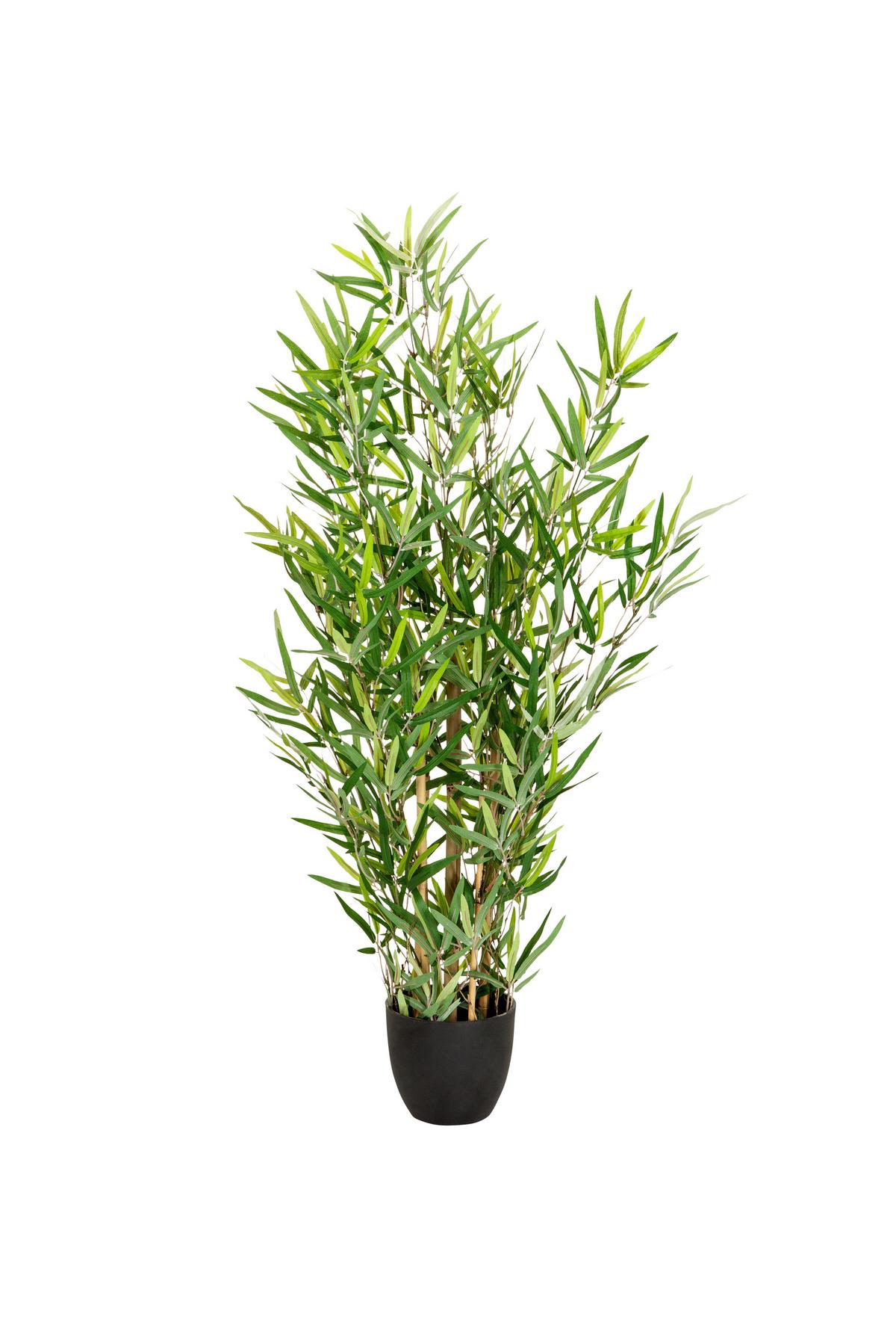 Umetna Rastlina Bambus - svetlo rjava/črna, Basics, umetna masa/tekstil (60/100/60cm) - MID.YOU