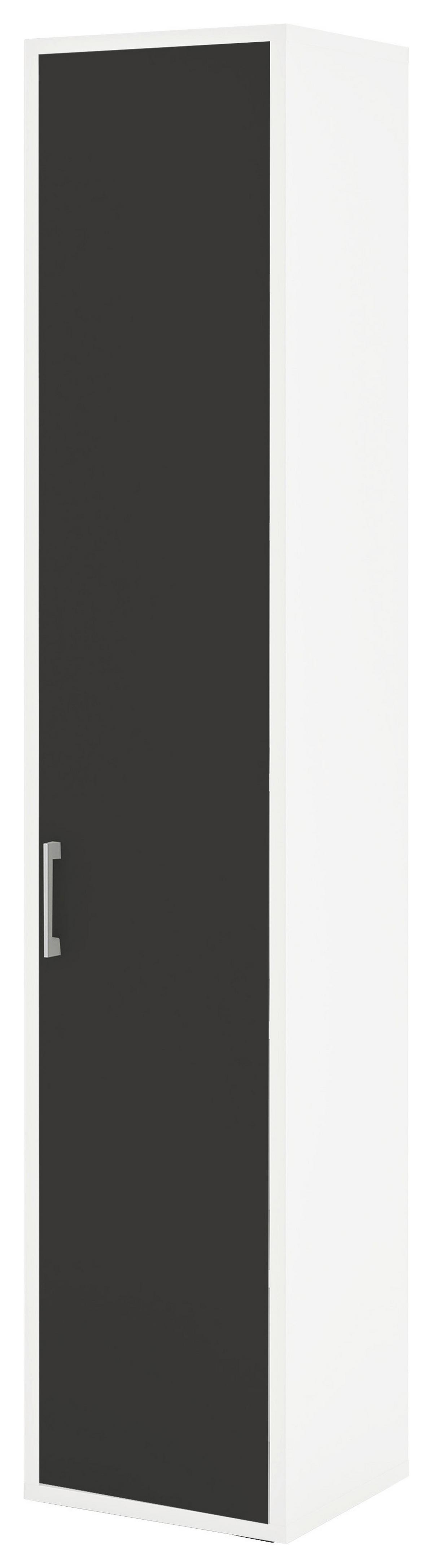 Tür Big Profi Office - Anthrazit/Alufarben, Modern, Holzwerkstoff/Metall (38/211/40cm) - Mömax