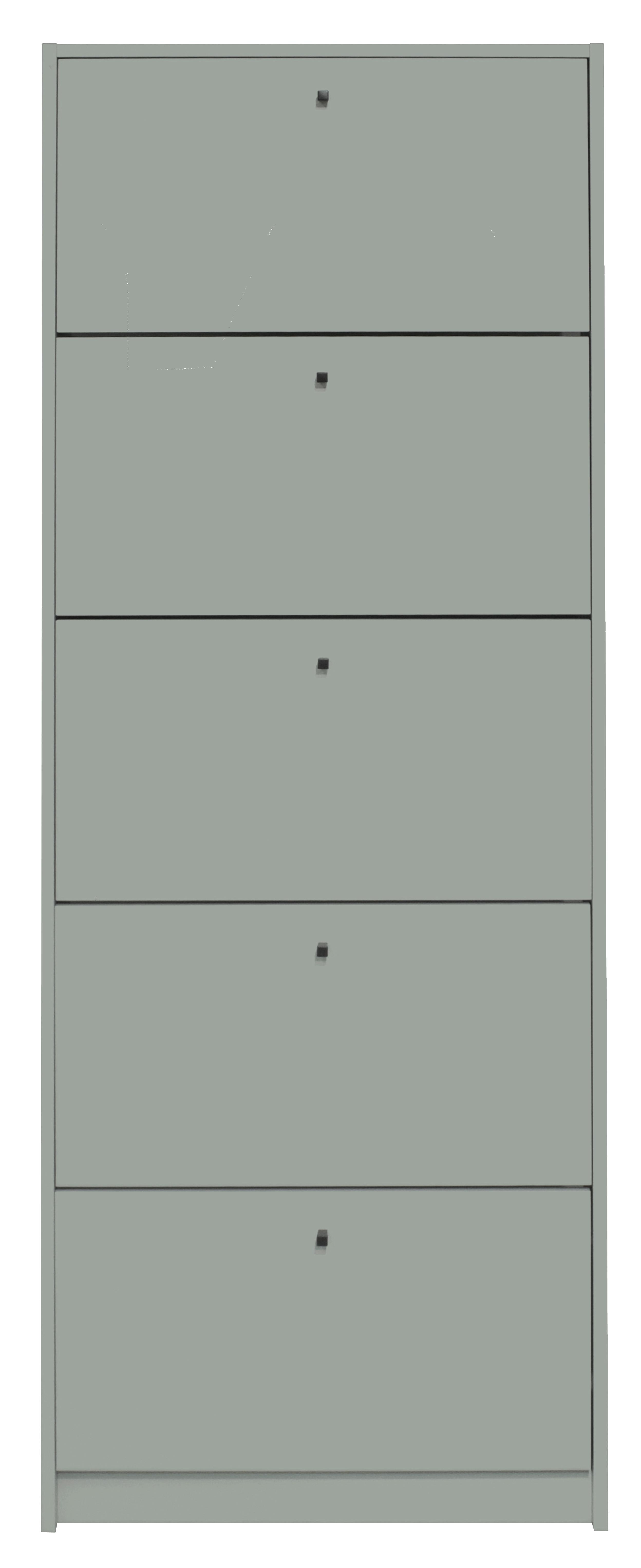 Ormarić Za Cipele Flap - boje mente/crna, Moderno, drvni materijal/metal (60/168/16cm) - Modern Living