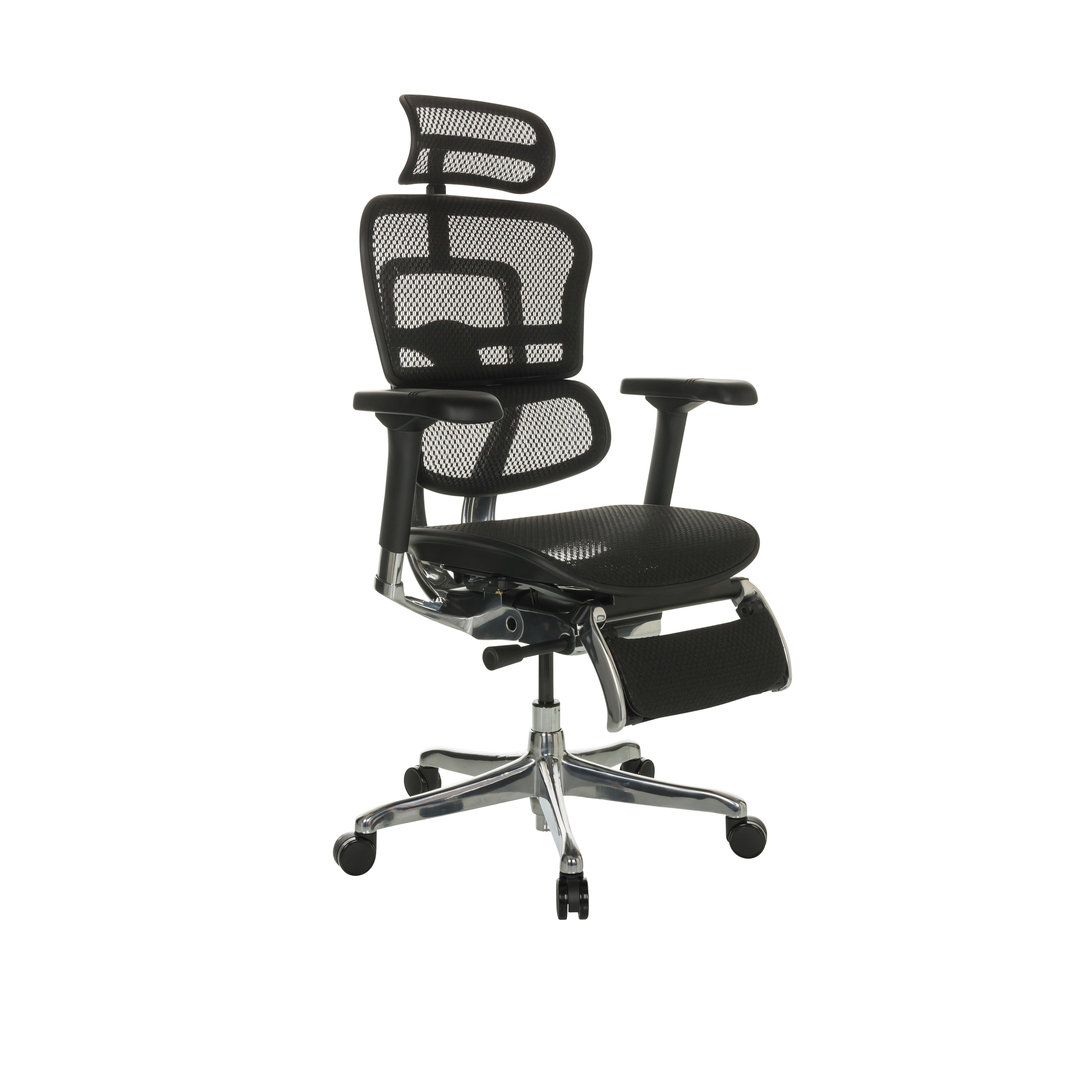 Pisarniški Stol Ergohuman Plus Legpro I, Črna - črna/siva, Basics, kovina/umetna masa (68/118-141/64cm) - MID.YOU