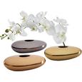 Vase Asha in Rosa/gold - Goldfarben/Rosa, LIFESTYLE, Metall (20/10/7cm) - Mömax modern living Vase Asha in Rosa/gold - Goldfarben/Rosa, LIFESTYLE, Metall (20/10/7cm) - Mömax modern living