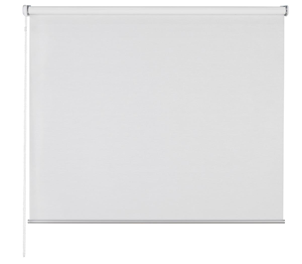 Rollo Nova Weiß ca. 80x150cm - Weiß, MODERN, Kunststoff (80/150cm) - Premium Living