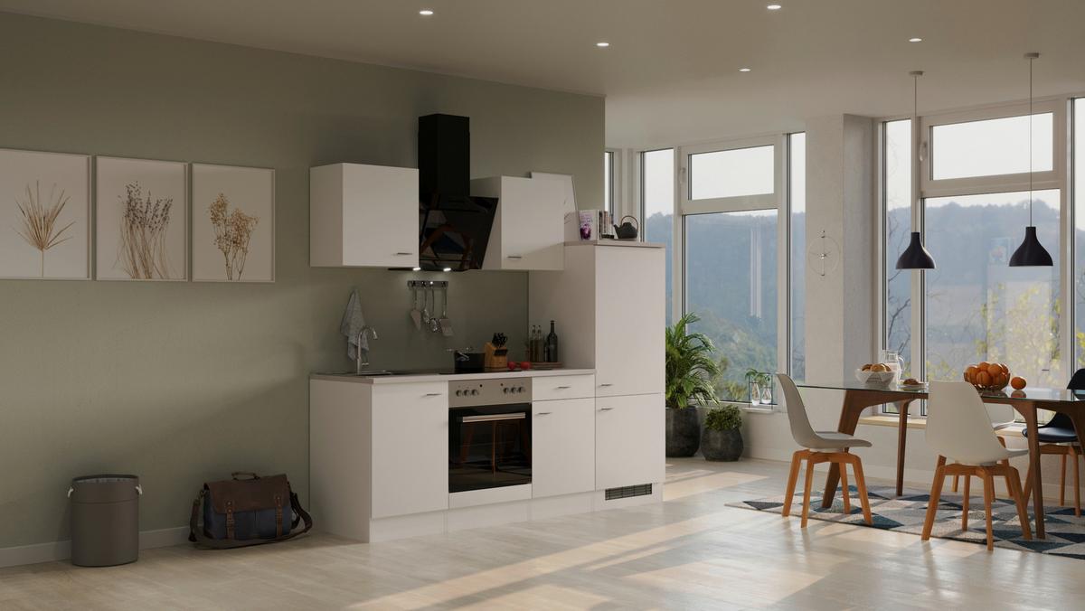 Kuhinjski Blok Wito - barve nerjavečega jekla/bela, Moderno, umetna masa/leseni material (220cm) - FlexWell