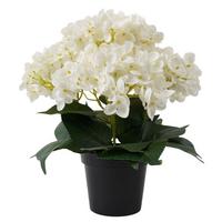 Műnövény Hydrangea - fekete/fehér, műanyag (30/32cm)