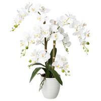 Kunstpflanze Orchideen Weiß - Weiß/Grün, Design, Keramik/Kunststoff (67cm) - P & B