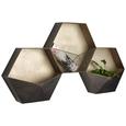 Wandregal Schwarz - Schwarz, LIFESTYLE, Metall (113/59/16,5cm) - Modern Living Wandregal Schwarz - Schwarz, LIFESTYLE, Metall (113/59/16,5cm) - Modern Living