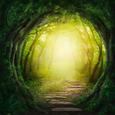 Glasbild Tunnel Forest, ca. 30x30x2cm - Multicolor, MODERN, Glas (30/30/2cm) - Mömax modern living
