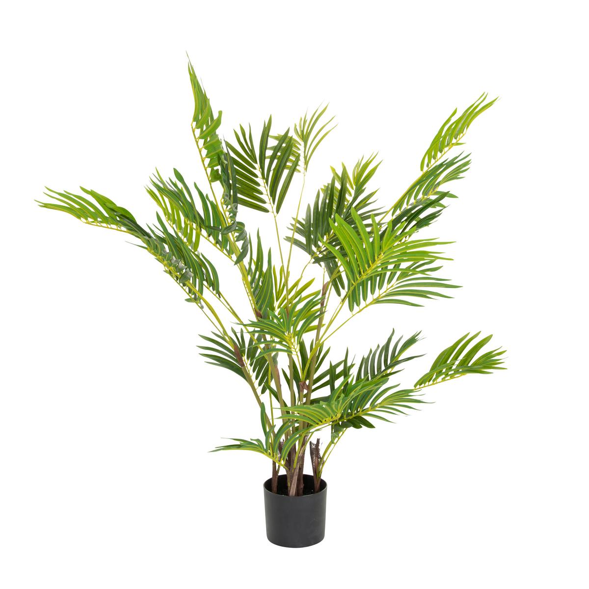 Umetna Rastlina Areca I - črna/zelena, Basics, umetna masa (70/120/70cm) - MID.YOU