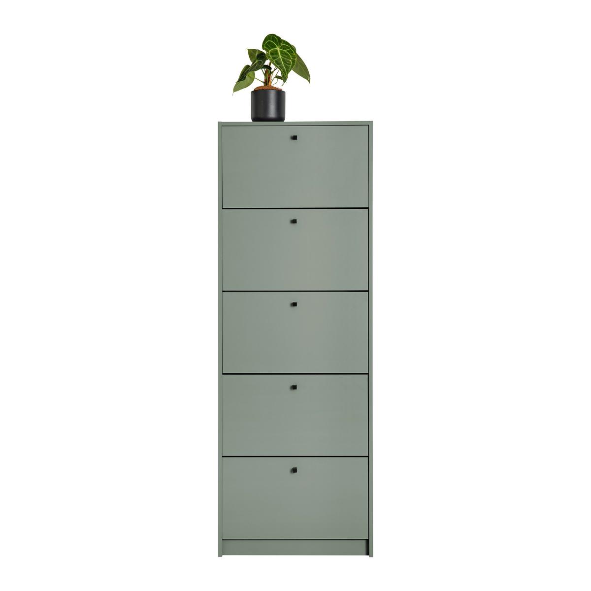 Schuhkipper Flap in Mintgrün - Schwarz/Mintgrün, MODERN, Holzwerkstoff/Metall (60/168/16cm) - Mömax