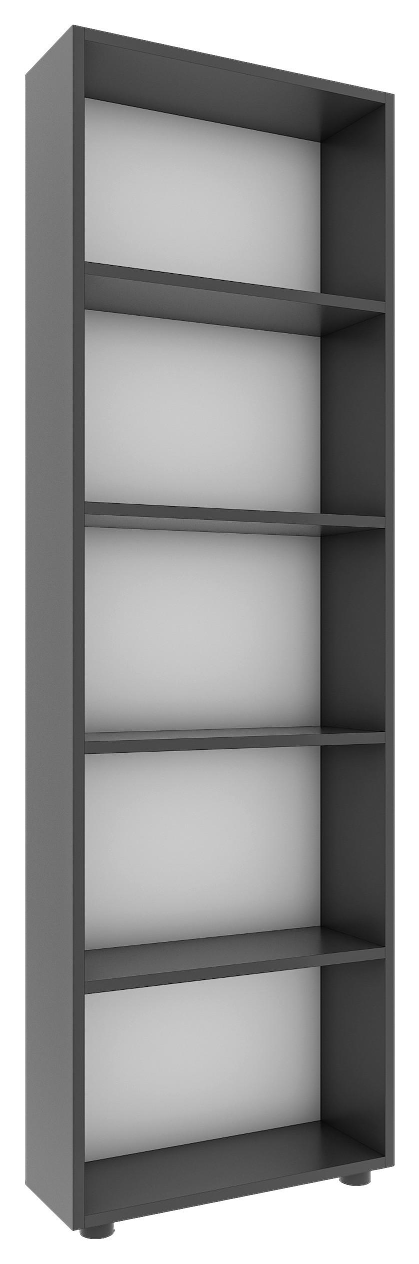 REGAL BULAS - Anthrazit/Schwarz, Basics, Holzwerkstoff/Kunststoff (56/169/20cm) - MID.YOU