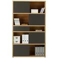 Regal Eichefarben - Eichefarben/Anthrazit, MODERN, Holzwerkstoff/Kunststoff (116,6/199,8/37cm) - Premium Living Regal Eichefarben - Eichefarben/Anthrazit, MODERN, Holzwerkstoff/Kunststoff (116,6/199,8/37cm) - Premium Living
