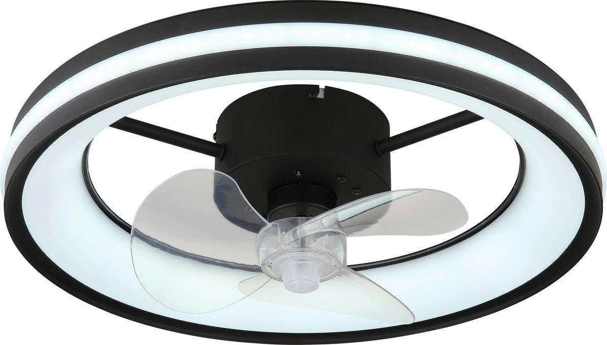 Deckenventilator Hayla Schwarz/Transparent - Klar/Transparent, Basics, Kunststoff/Metall (49,5/15cm)