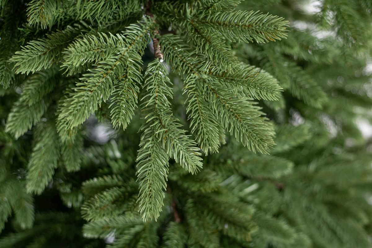 Weihnachtsbaum Roswell Grün H: ca. 210cm - Grün, Basics, Kunststoff (122/210cm)