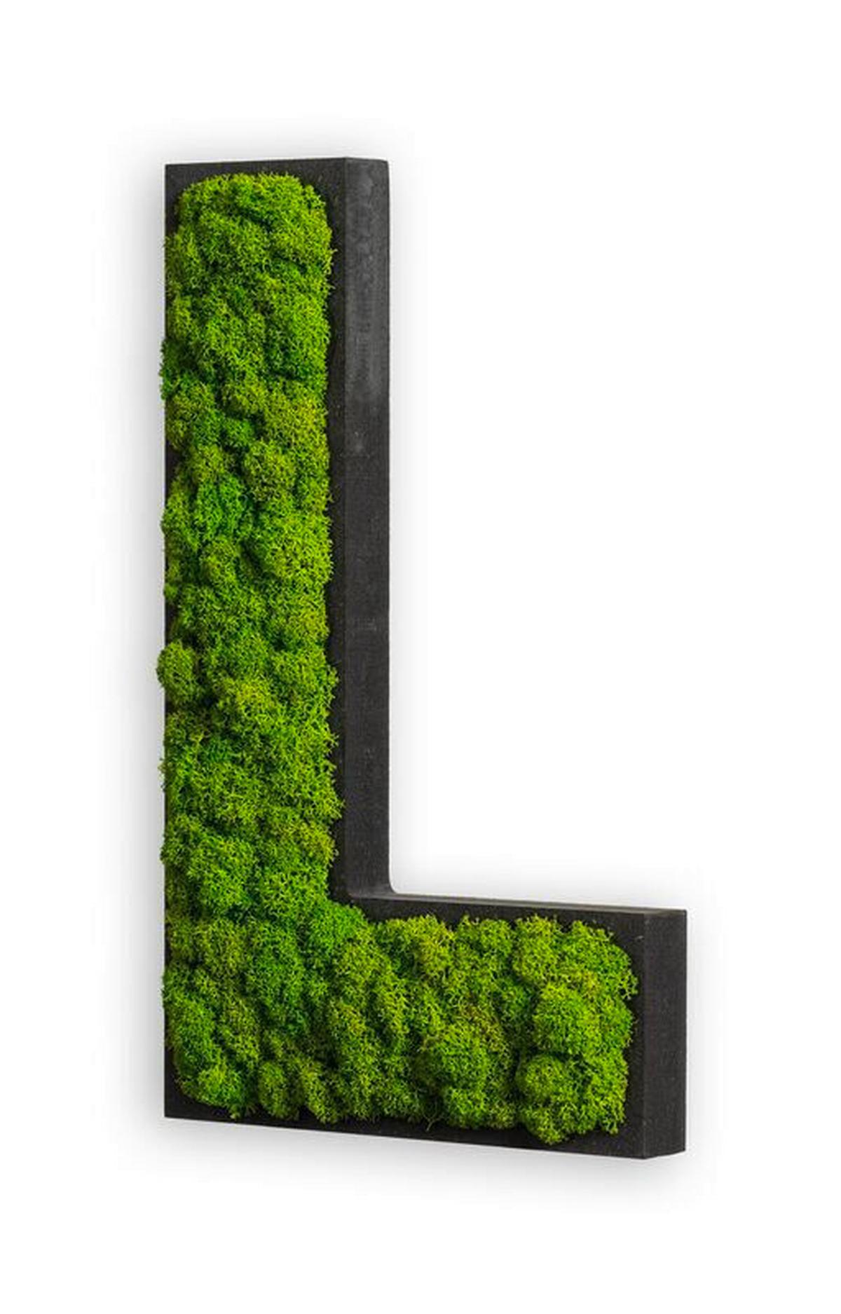 Moosbild Grün - Schwarz/Grün, Basics, Naturmaterialien/Holz (25/15/4cm)