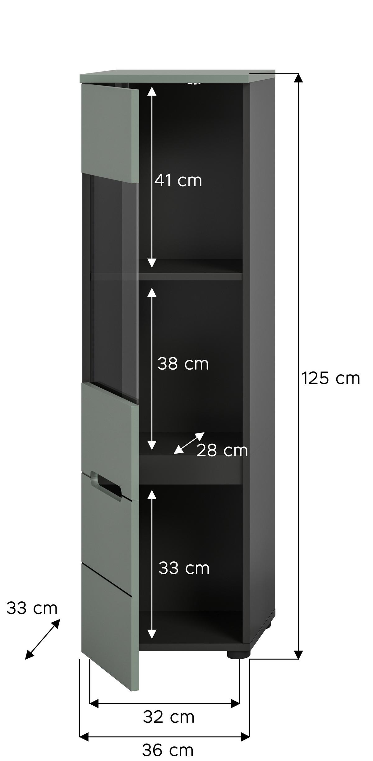 Vitrina Canu, Sivozelena - črna, Design, umetna masa/leseni material (36/125/33cm) - Livetastic