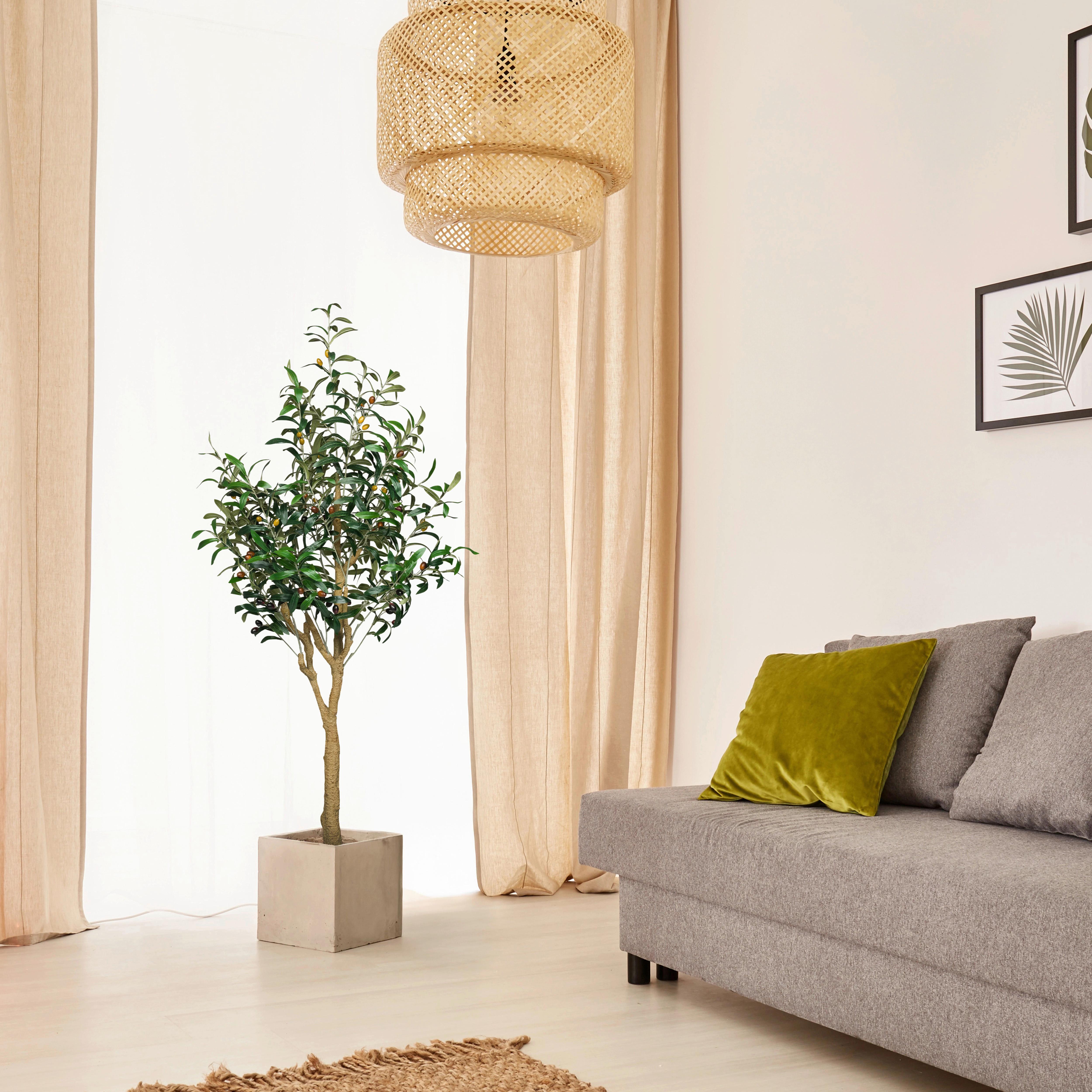 Umetna Rastlina Olive Ii - svetlo rjava/zelena, Moderno, umetna masa (60/150/60cm) - MID.YOU