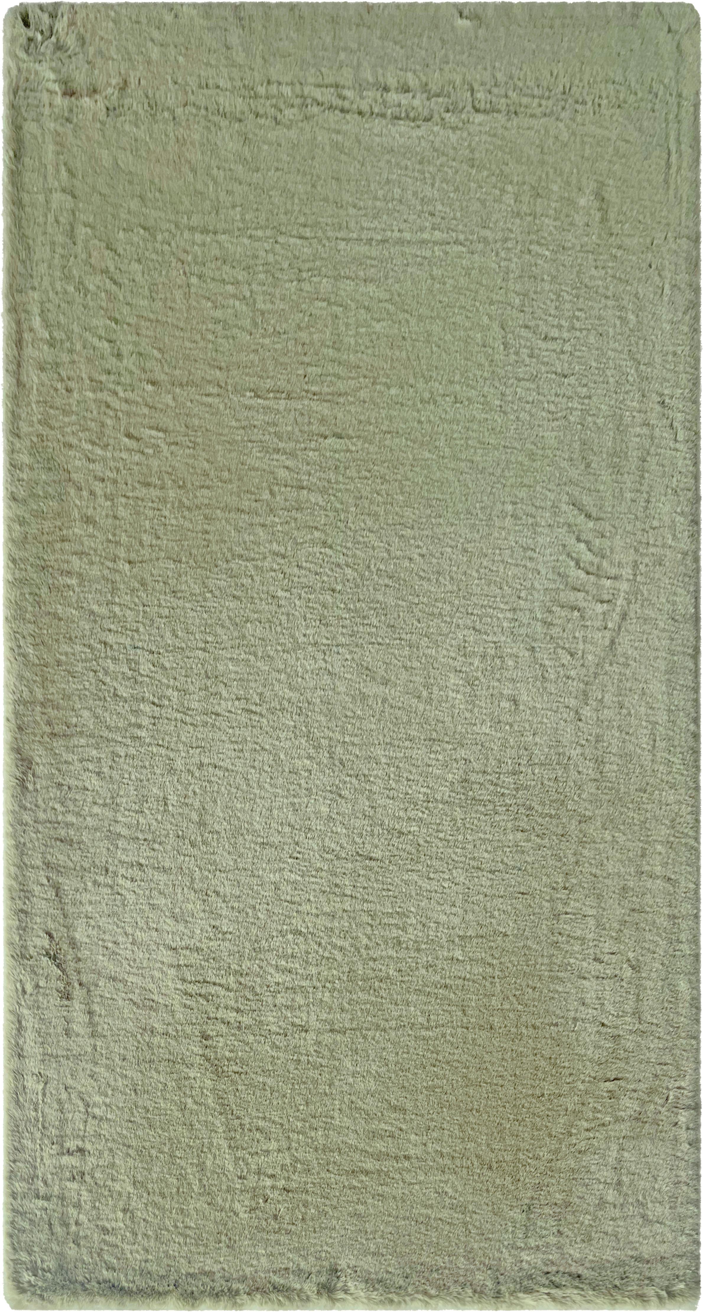 Kunstfell Caroline 1 Salbeigrün ca. 80x150cm - Salbeigrün/Hellgrün, KONVENTIONELL, Textil (80/150cm) - Mömax