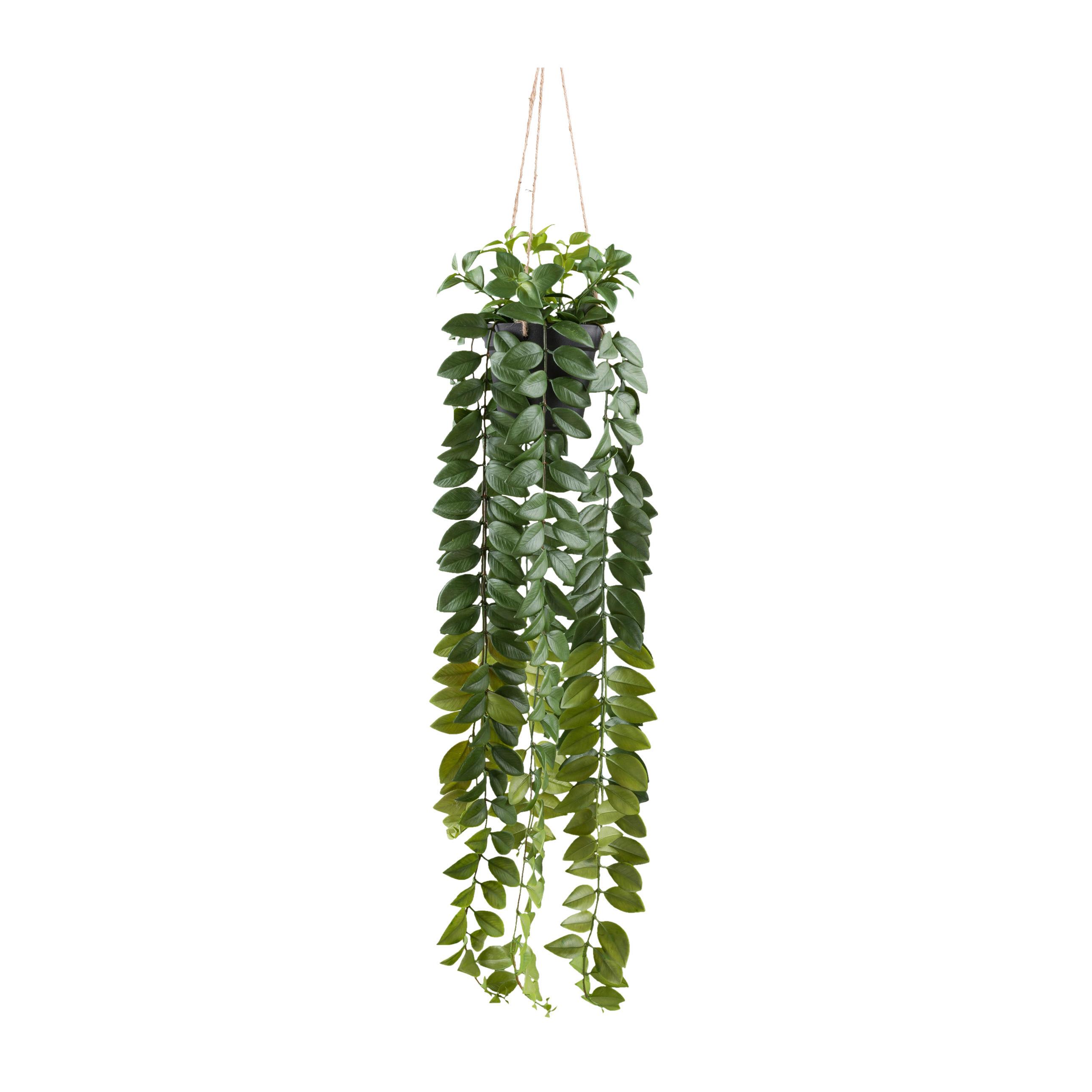 Kunstpflanze Hängepflanzen Grün/Schwarz - Schwarz/Grün, Design, Kunststoff (85cm)