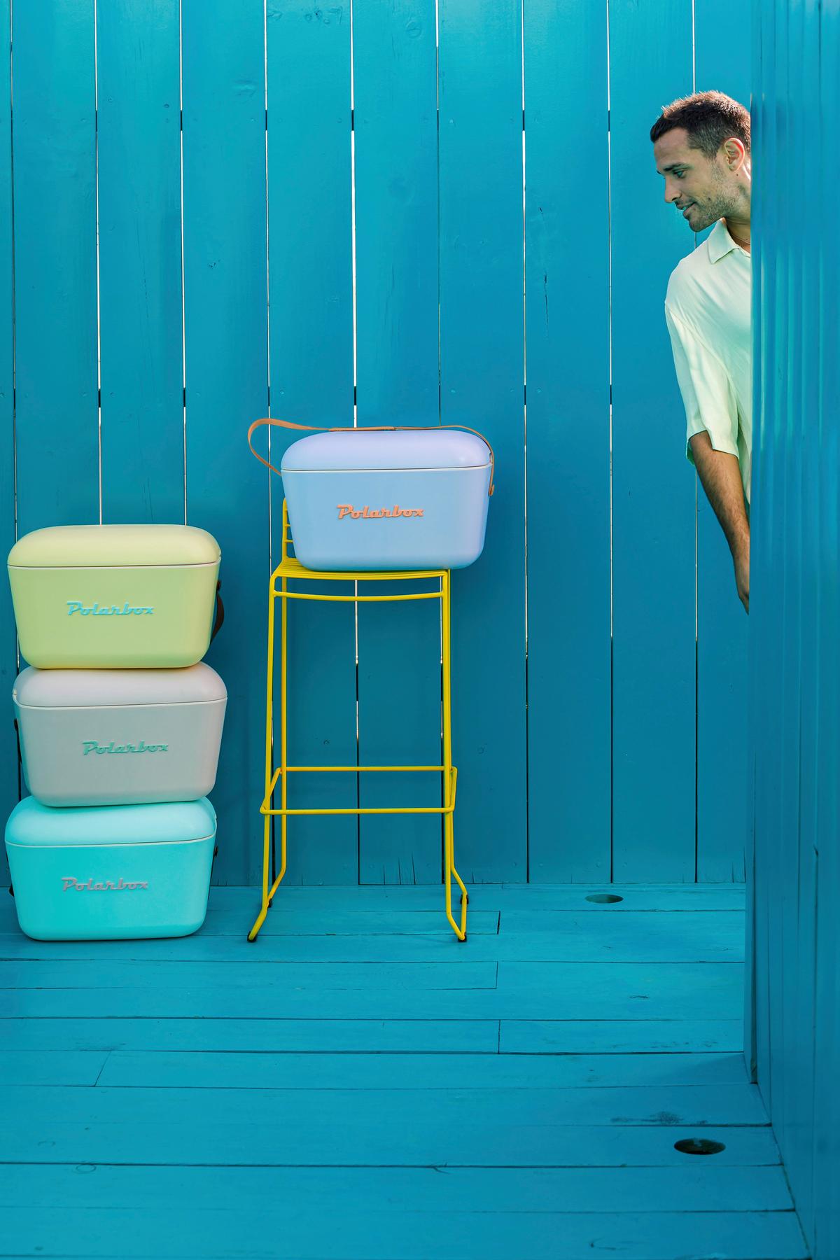 Kühltasche Polarbox Flieder, 20 Liter - Flieder, MODERN, Kunststoff (45,1/20,7/30,6cm) - Polarbox