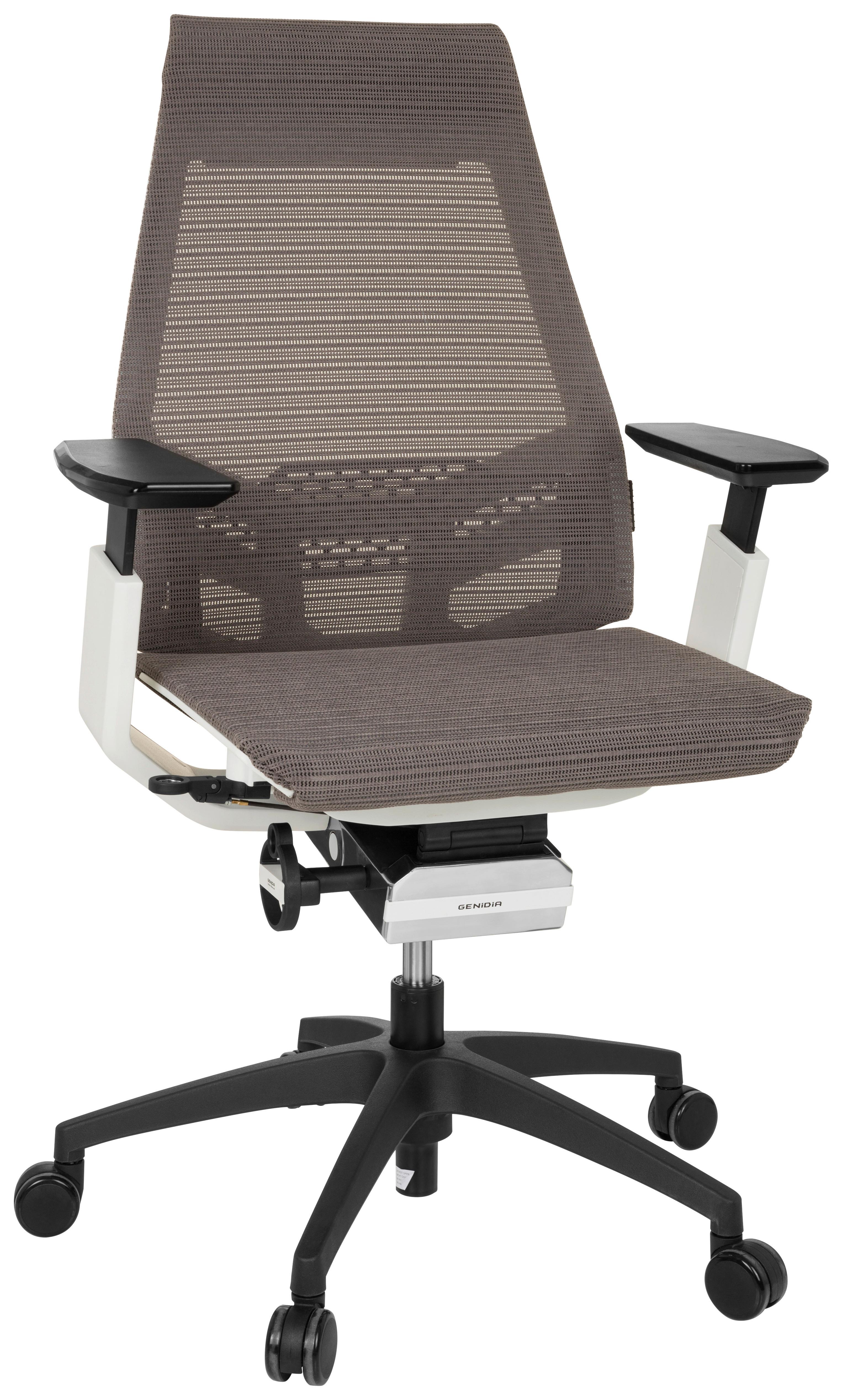 Pisarniški Stol Genidia Smart White, Bela, Siva - siva/črna, Moderno, umetna masa/tekstil (70/112/55cm) - MID.YOU