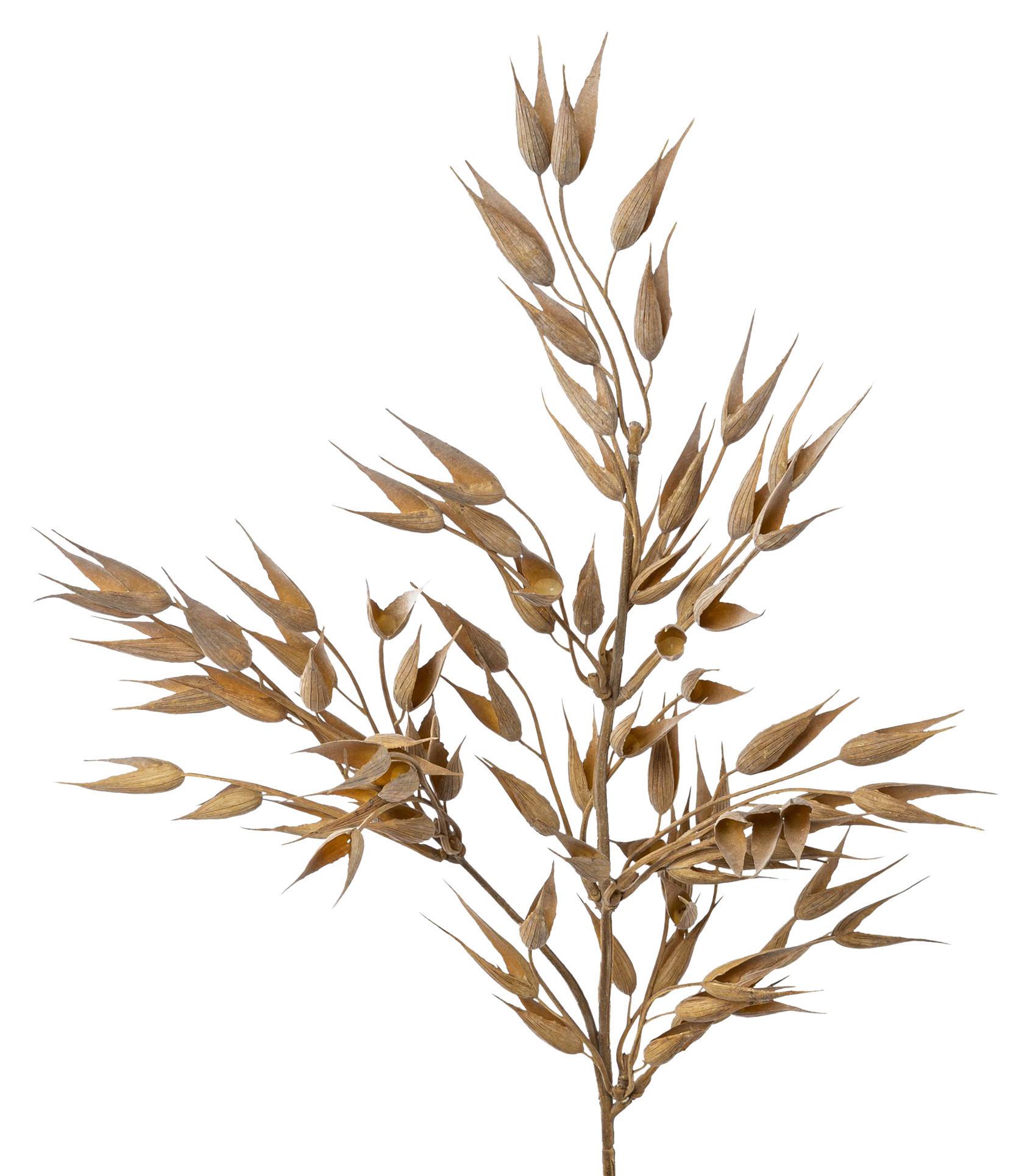 Kunstpflanze Hafer I in Braun - Braun, Basics, Kunststoff (64cm) - Modern Living