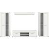 Regal Za Dnevni Boravak Jam - bijela/srebrne boje, Design, staklo/drvni materijal (310/159/35cm) - Modern Living