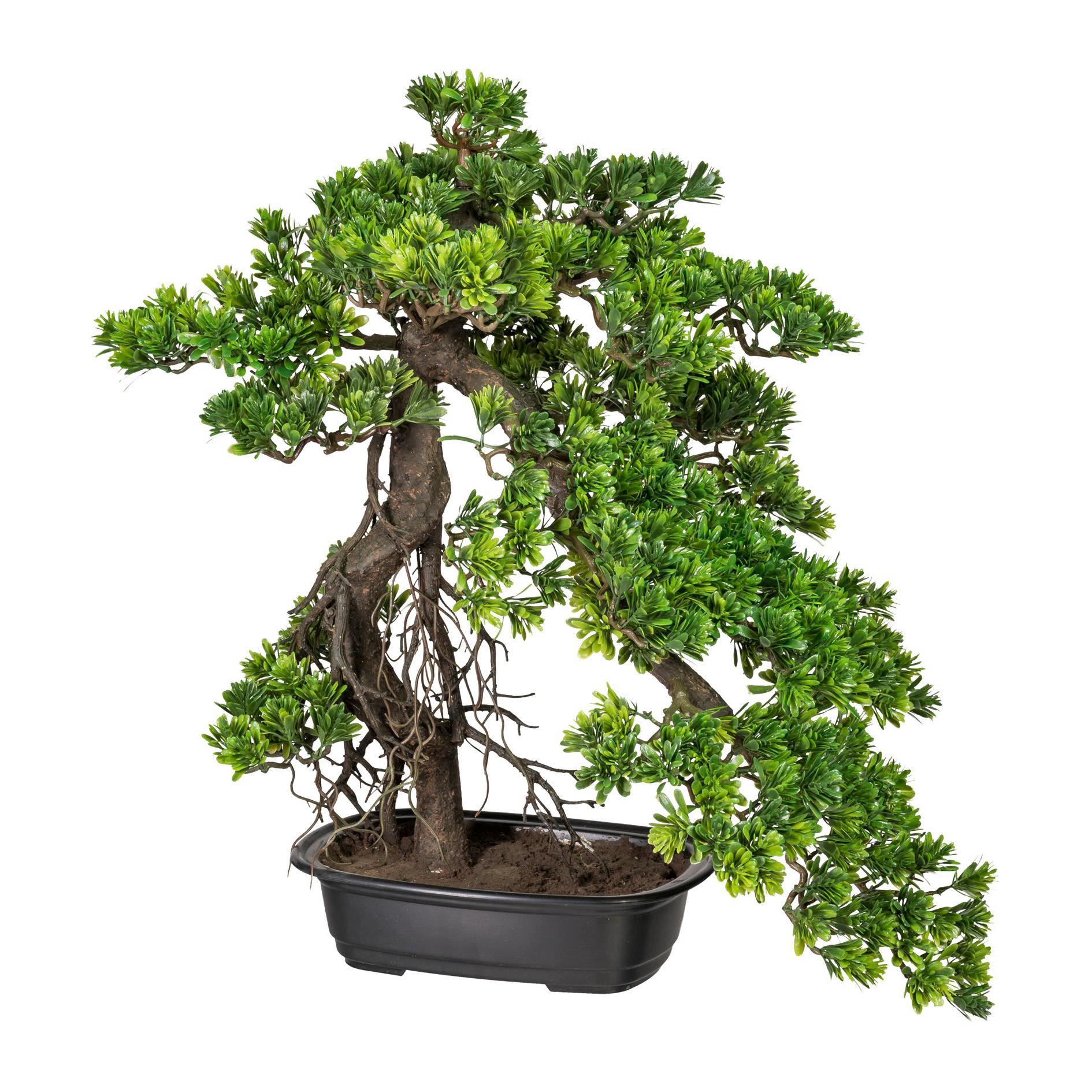 Kunstpflanze Bonsai in Grün mit Schale H ca. 55/45 cm - Dunkelbraun/Grün, Kunststoff (55/45cm)