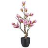 Magnolija Magnolie I -Paz- - roza/rjava, Basics, kovina/umetna masa (65cm) - Mömax