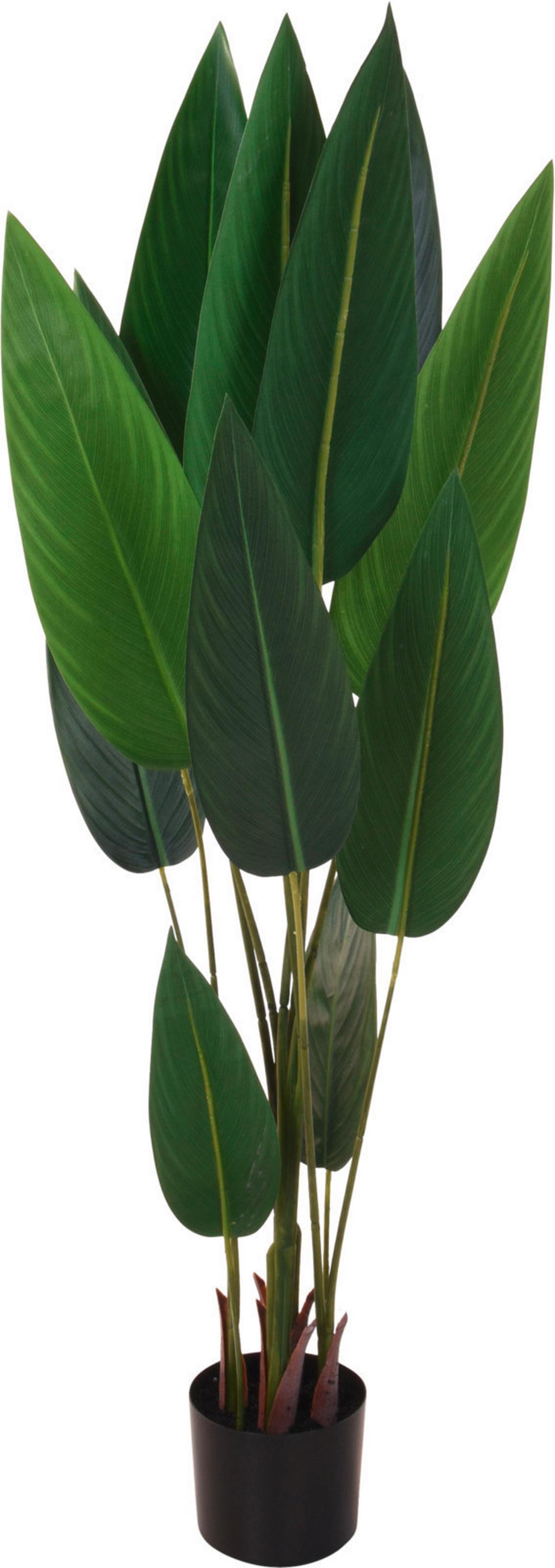 Műnövény Kaspóban Bird Of Paradise - műanyag (28/15/130cm)